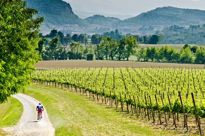 Bergamo and Franciacorta with lunch and cellar visit - Key Highlights Worth Your Time