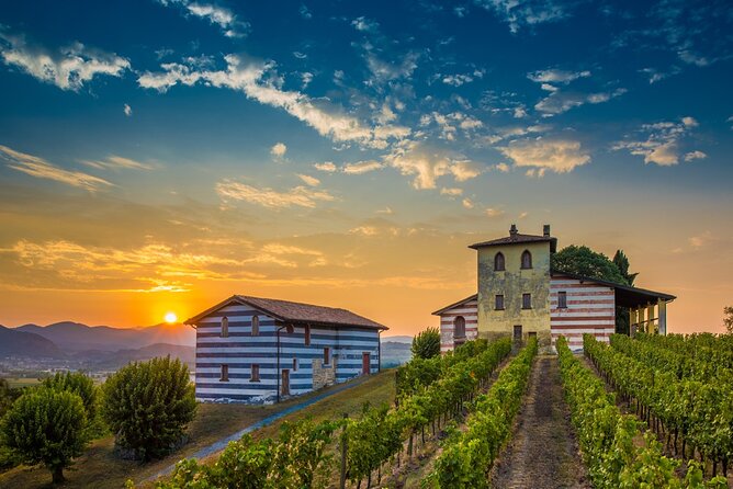 Bergamo and Franciacorta with lunch and cellar visit - Franciacorta Wine Route: DOCG Tastings That Actually Mean Something
