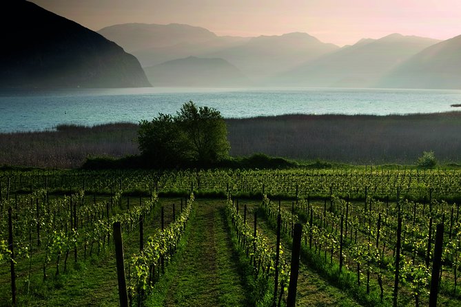 Bergamo and Franciacorta with lunch and cellar visit - FAQ