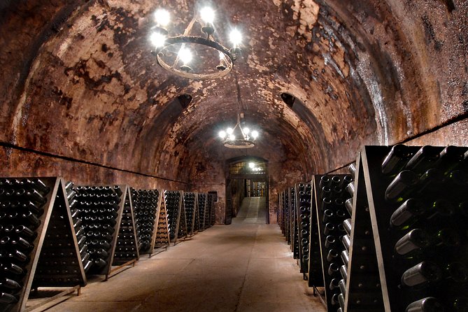 Bergamo and Franciacorta with lunch and cellar visit - Lake Iseo Lunch: Good Food, Real Choices, Sometimes No Lake View