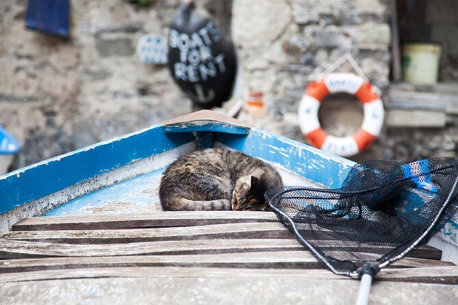 Cinque Terre Day Trip from Milan: Italian Riviera Escape - Riomaggiore when timing allows