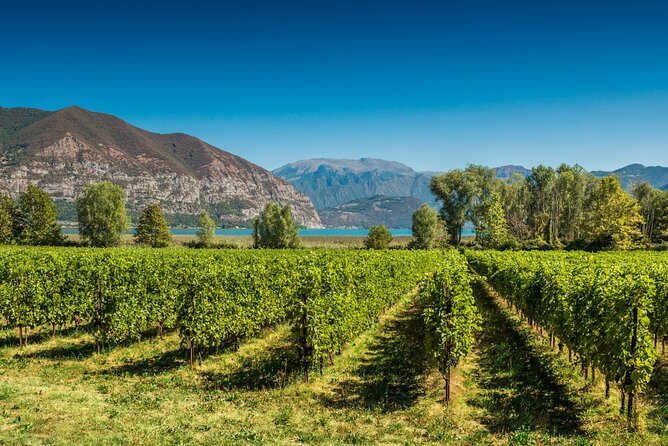 From Milan Full Day in Franciacorta 2 Wineries and Lunch - Key things to know before you go