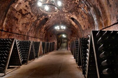 From Milan Full Day in Franciacorta 2 Wineries and Lunch - Stop 1: First winery on the Franciacorta wine route