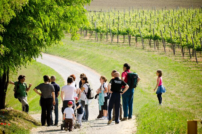 From Milan Full Day in Franciacorta 2 Wineries and Lunch - Value check: what $381.75 is really buying you