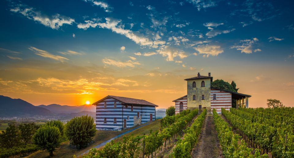 From Milan: Full Day in Franciacorta. 2 Wineries & Lunch - Key points before you go