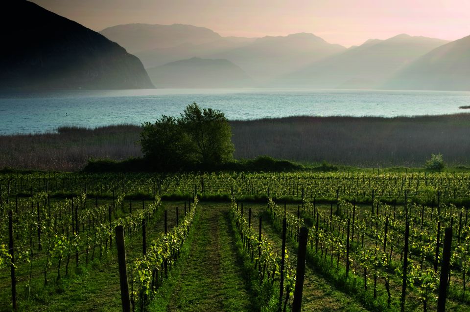 From Milan: Full Day in Franciacorta. 2 Wineries & Lunch - The scenic Lake Iseo route and vineyard photo moments