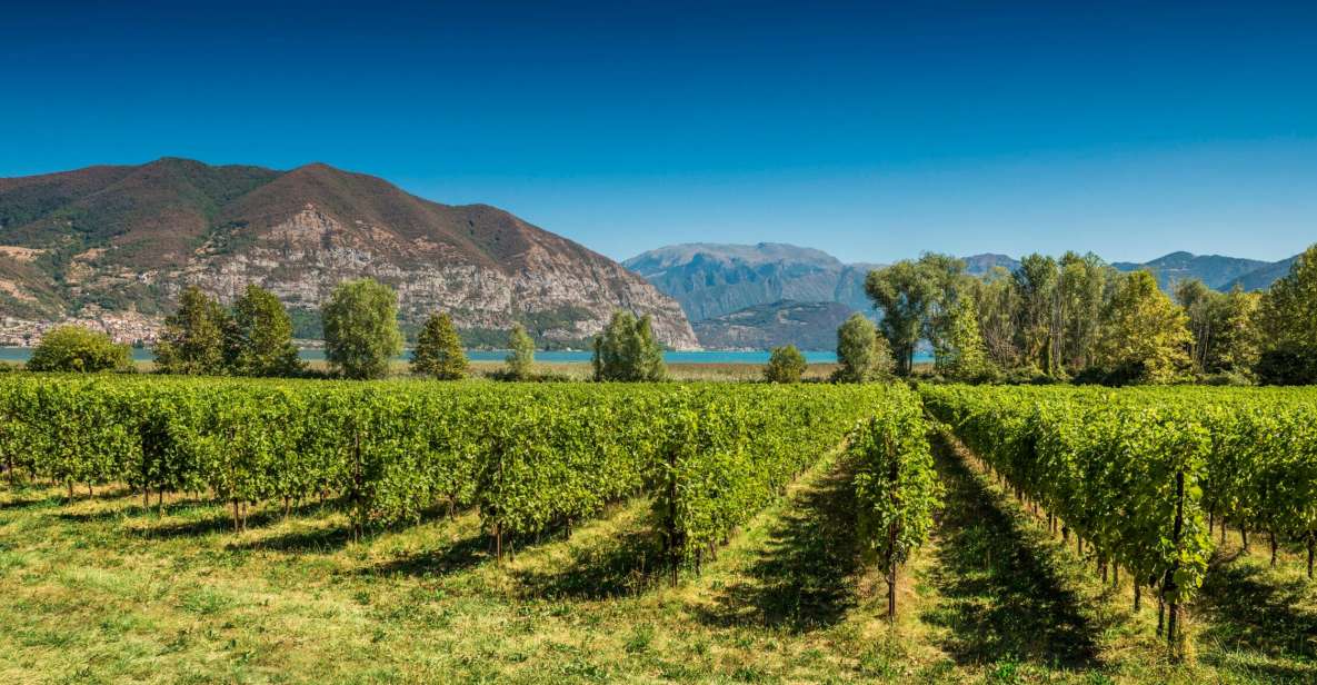 From Milan: Full Day in Franciacorta. 2 Wineries & Lunch - Who this Franciacorta day trip fits best