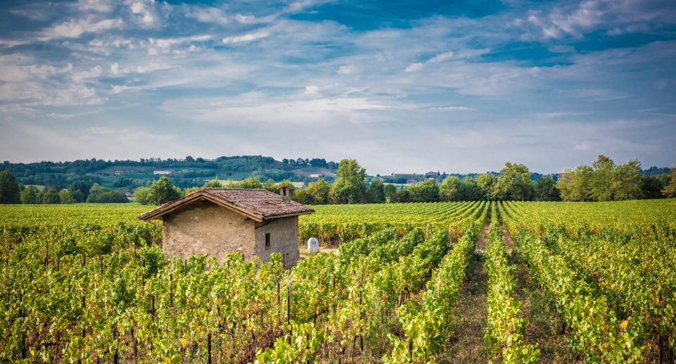 From Milan: Full Day in Franciacorta. 2 Wineries & Lunch - Meeting at Bignami and settling into the ride