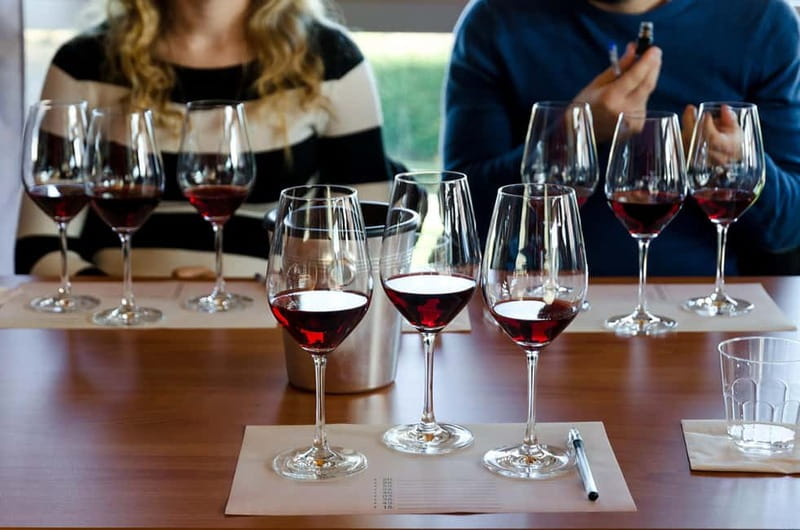 From Milan: Langhe Wine Region Day Trip with Barolo Tasting - Coach comfort, walking levels, and how long it really feels