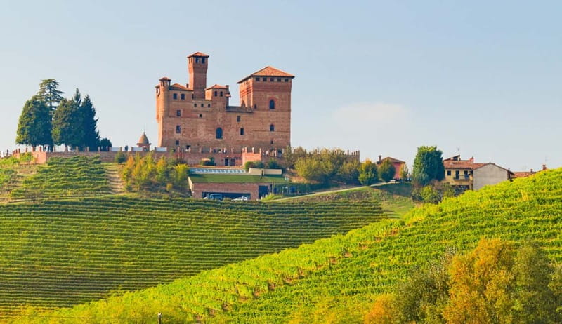 From Milan: Langhe Wine Region Day Trip with Barolo Tasting - Barolo or Alba: the seasonal switch that drives the whole day