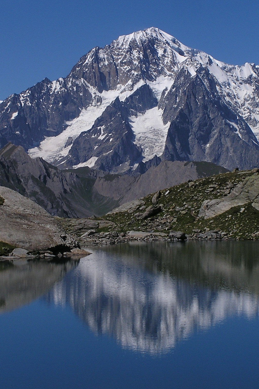 From Milan: Monte Bianco and Courmayeur Day Trip - Mont-Frety Pavilion: Botanic Garden Saussurea at High Altitude