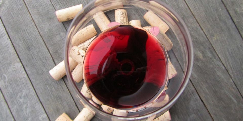 Full-Day Barbaresco Wine Tour with Truffle Hunting and Lunch - A Private Barbaresco + Truffle Day That Feels Like Real Piedmont