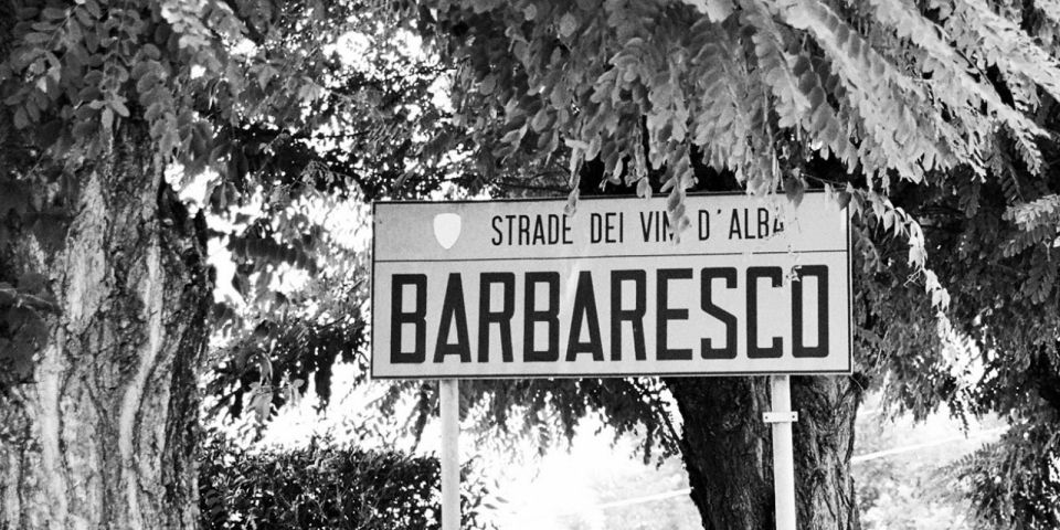 Full-Day Barbaresco Wine Tour with Truffle Hunting and Lunch - After the Hunt: Truffle Snacks and a Langhe Lunch with Wine Pairing