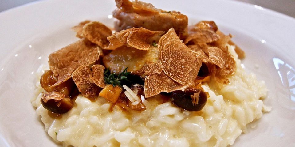 Full-Day Barbaresco Wine Tour with Truffle Hunting and Lunch - Barbaresco Town Stop: Panoramas Over Vineyards and Fortresses
