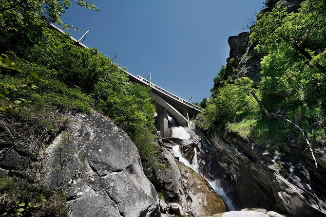 Interlaken and the Green Train of Swiss Alps Day Trip from Milan - Price and value: what you’re really paying for at $167.11