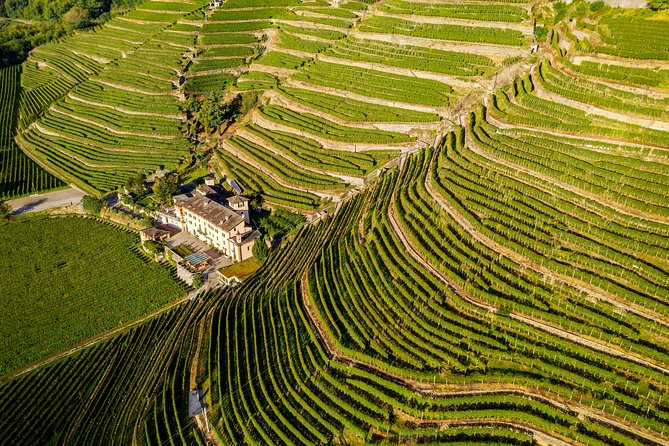 Lake Como & UNESCO Dry-stone Walls Vineyards - Key takeaways before you go