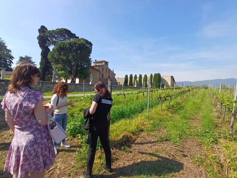 Milan: Brescia & Franciacorta with Wine Tasting Small Group - Key highlights you’ll feel right away