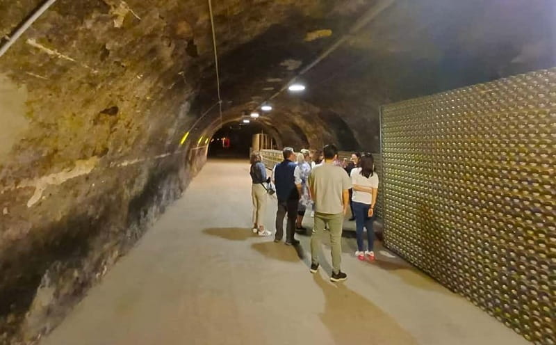 Milan: Brescia & Franciacorta with Wine Tasting Small Group - Winery visit and the “traditional methods” explanation you’ll actually use