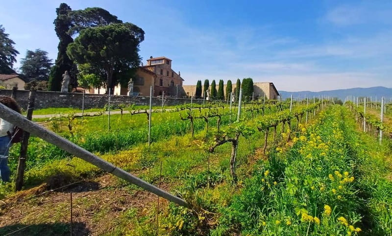 Milan: Brescia & Franciacorta with Wine Tasting Small Group - Who this Milan to Franciacorta day trip fits best
