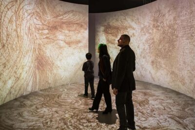 Milan: Leonardo da Vinci Galleries Ticket & Guided Tour - Price and value: what you get for around $28