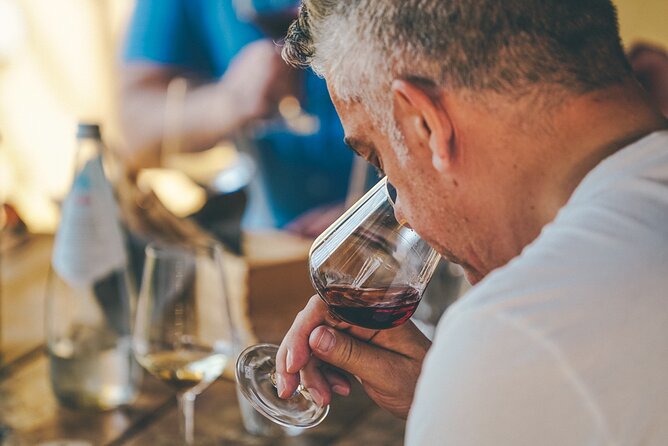 Private Langhe and Barolo Wine Tour from Milan - Private Langhe and Barolo from Milan: What makes this day special