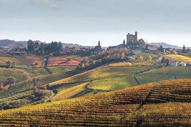 Private Langhe and Barolo Wine Tour from Milan - Stop 2 in Barbaresco: vineyards, production, and a second viewpoint on Nebbiolo