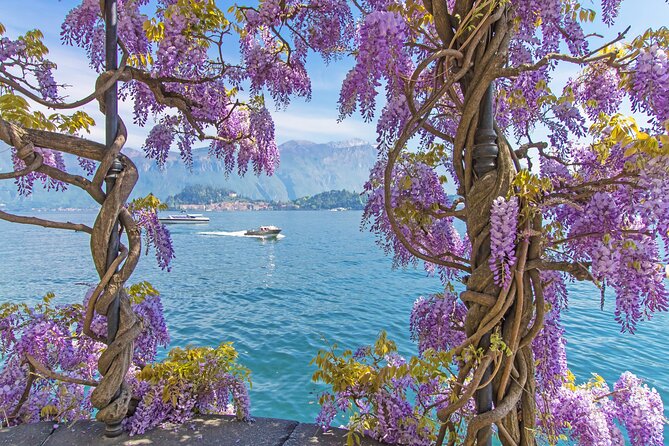 Private Tour: Lake Como From Milan with Private Driver and Boat - Ferry to Bellagio: The Best Kind of 20 Minutes
