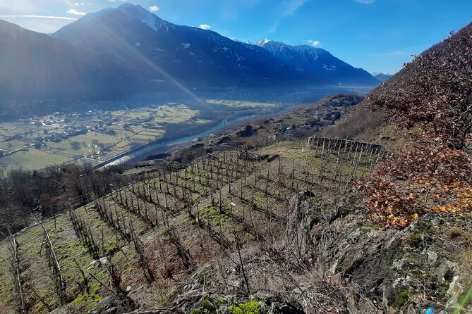 Private Wine Tour: Terraced Vineyards with Alpine view from Milan - Winery Stop 1: Time to Taste With Context (Not Just a Quick Pour)