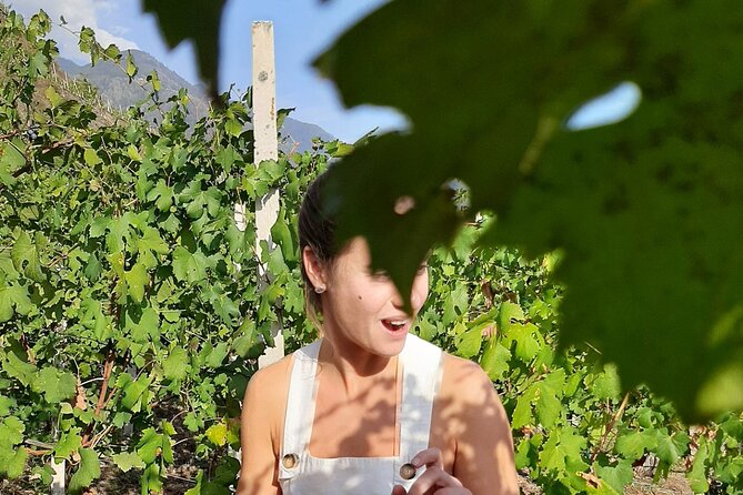 Private Wine Tour: Terraced Vineyards with Alpine view from Milan - Winery Stop 2: Another Look at Terraces and Valley Craft