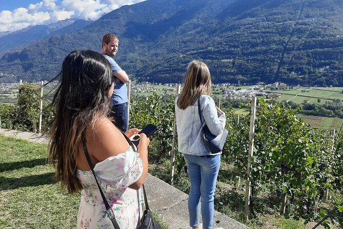 Private Wine Tour: Terraced Vineyards with Alpine view from Milan - The Return to Lake Como and Back to Milan