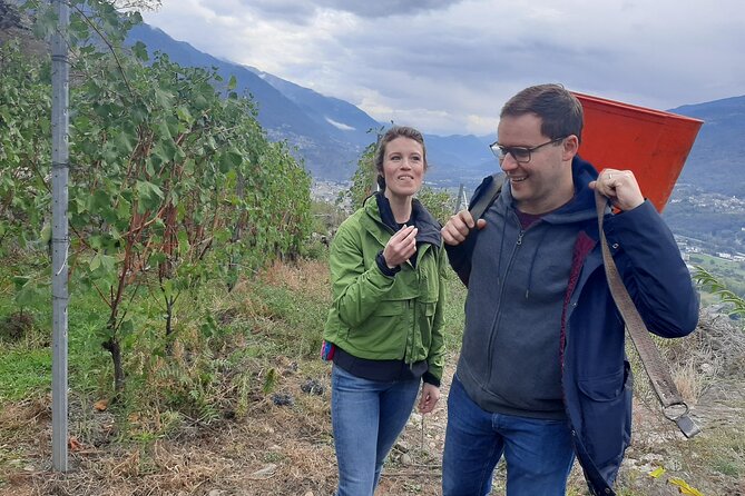 Private Wine Tour: Terraced Vineyards with Alpine view from Milan - Price and Value: What You’re Really Paying For