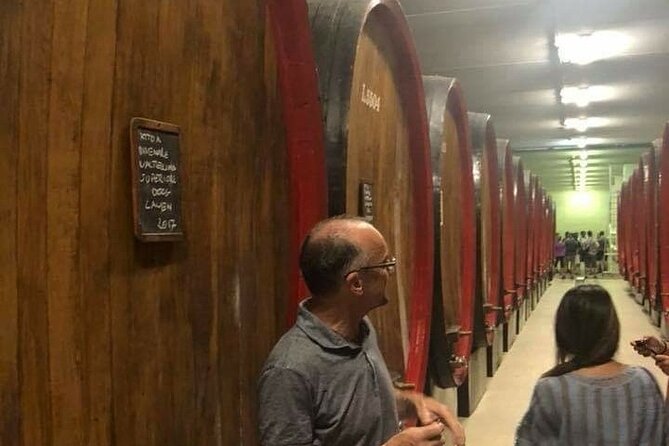 Private Wine Tour: Terraced Vineyards with Alpine view from Milan - Morbegno and the Underground Cellar Idea (Plus What It Means for You)