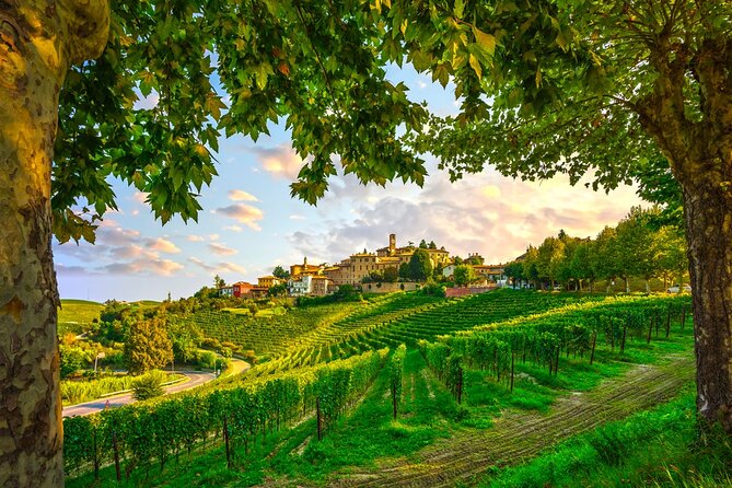 Small-Group Barolo Wine Tasting, Alba & UNESCO Piedmont Hills - A 10.5-hour Milan-to-Piedmont day: pacing and expectations
